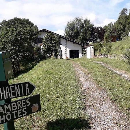 Апартаменты Maison Florenchaenia Sur Le Chemin De Compostelle Сен-Жан-Пье-де-Пор Экстерьер фото