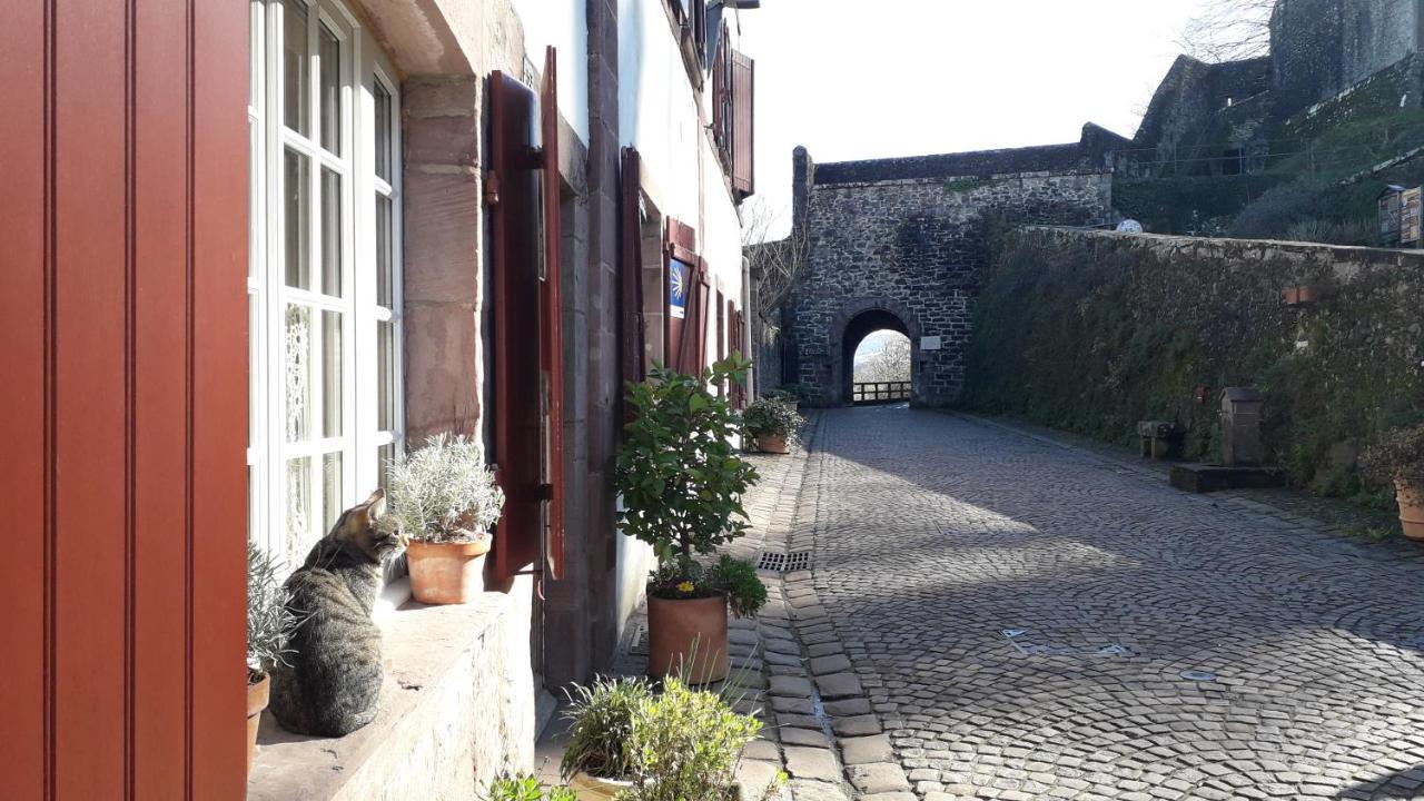 Апартаменты Maison Florenchaenia Sur Le Chemin De Compostelle Сен-Жан-Пье-де-Пор Экстерьер фото